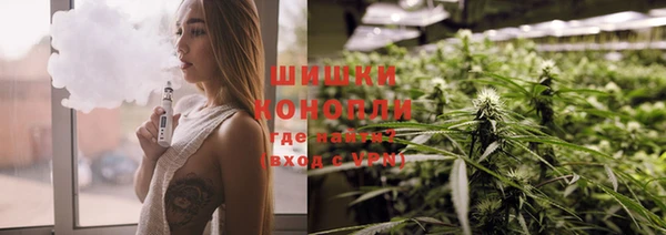 тгк Мегион