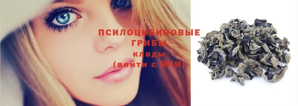 спайс Медногорск