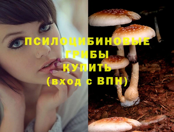 тгк Мегион